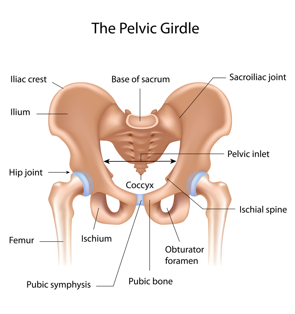 Pelvic Pain