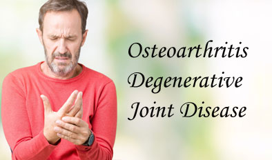 degenerative joint disease